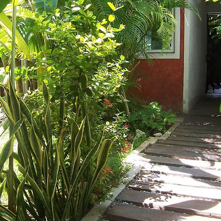 Elements Of The Island Apartment Исла Мухерес Екстериор снимка