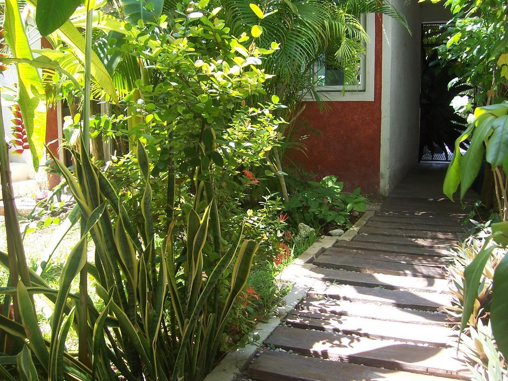 Elements Of The Island Apartment Исла Мухерес Екстериор снимка